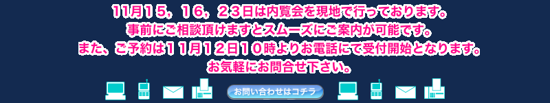 11PTCPUCQR͓nōsĂ܂B